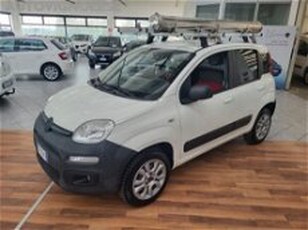 Fiat Panda 1.3 MJT S&S 4x4 Pop Climbing Van 2 posti del 2013 usata a Vignola