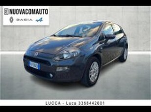 Fiat Punto 1.2 8V 5 porte Lounge del 2016 usata a Sesto Fiorentino