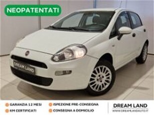 Fiat Punto 1.4 8V 5 porte Natural Power Street del 2014 usata a Livorno
