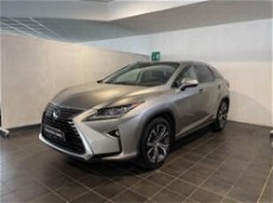 Lexus RX Hybrid Luxury del 2017 usata a Torino