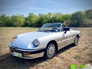 ALFA ROMEO Spider