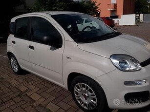 FIAT Panda 3ª serie - 2016