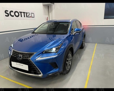 Lexus NX Hybrid 4WD Executive del 2018 usata a Pisa