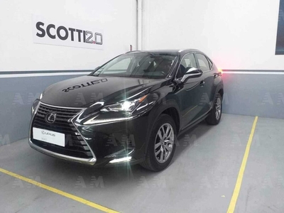 Lexus NX Hybrid 4WD Executive del 2018 usata a Pisa