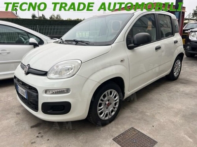 Fiat Panda 1.2 Easy Van 4 posti usato