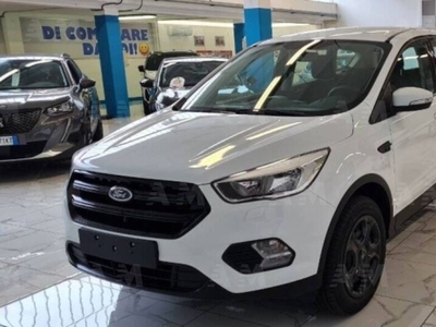 Ford Kuga 1.5 EcoBoost 120 CV S&S 2WD Plus usato