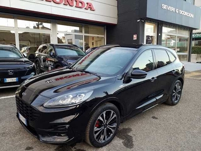 Ford Kuga 1.5 EcoBlue 120 CV 2WD ST-Line X usato