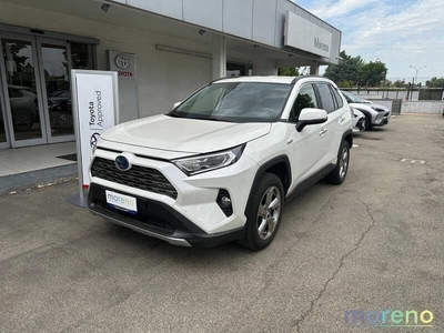 Toyota RAV4 2.5 vvt-ie hybrid Lounge 2WD e-cvt