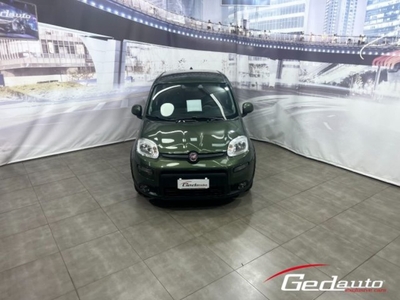 Fiat Panda 1.0 FireFly S&S Hybrid Sport usato