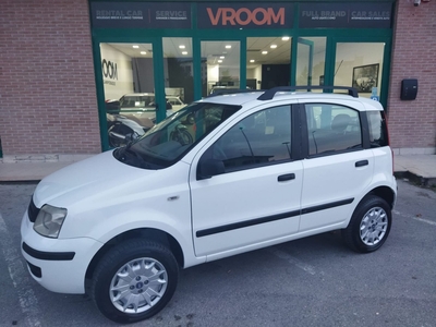 Fiat Panda 1.2 4x4 usato