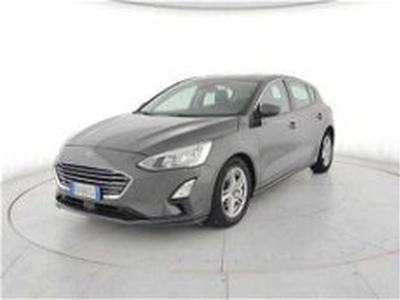 Ford Focus 1.5 EcoBlue 120 CV 5p. Business del 2019 usata a Torino