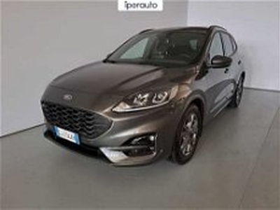 Ford Kuga 1.5 EcoBlue 120 CV 2WD ST-Line del 2022 usata a Cava Manara