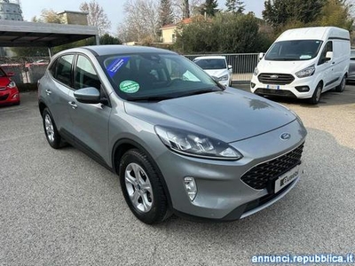 Ford Kuga 1.5 EcoBoost 120 CV 2WD Connect Fano