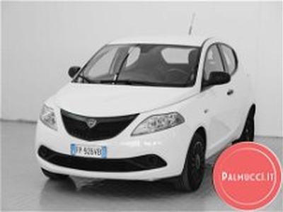 Lancia Ypsilon 1.2 69 CV 5 porte Silver del 2018 usata a Prato