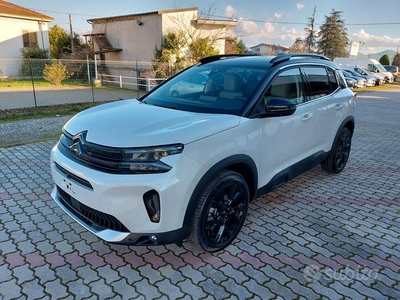 Citroen C5 Aircross C5 Aircross PureTech Hybrid 13