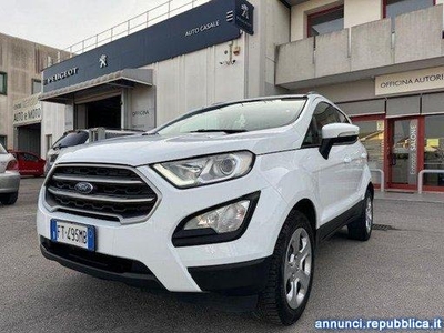 FORD - EcoSport 1.0 ecoboost Business 100cv my19