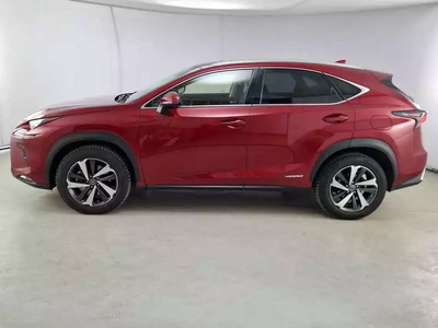 Lexus Nx 300h Ibrida Usata