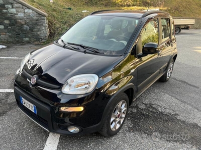 Usato 2014 Fiat Panda 4x4 Diesel 80 CV (12.800 €)