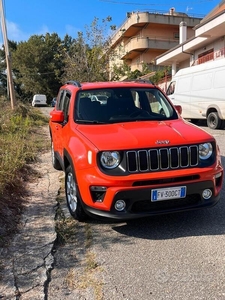 Usato 2019 Jeep Renegade 1.6 Diesel 120 CV (19.900 €)