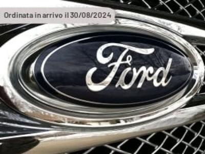 Usato 2023 Ford Tourneo Courier 1.0 Benzin 125 CV (19.480 €)