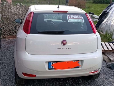 Venduto Fiat Punto Punto5p 1.2 Street. - auto usate in vendita