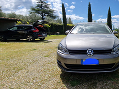 Volkswagen Golf VIl 1.6 Tdi 5p Trendline (66Kw)