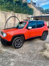 Jeep renegade 2.0 140 cv 4x4