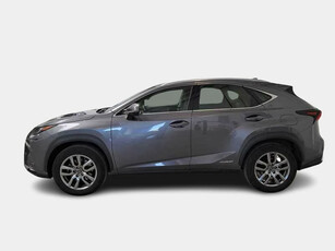 Lexus Nx 300h Ibrida Usata