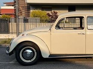 Maggiolino VW