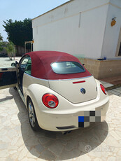 New beetle