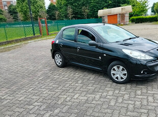 Peugeot 206 plus gpl