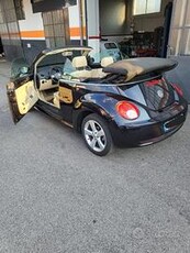 VOLKSWAGEN New Beetle - 2008