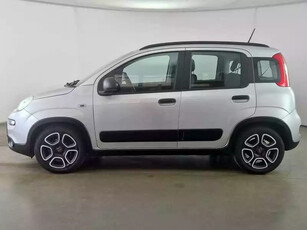 Fiat Panda Ibrida Usata