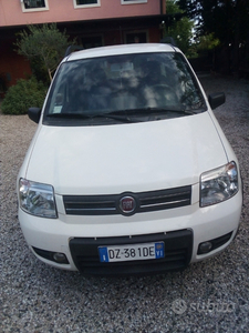 Usato 2009 Fiat Panda 4x4 Diesel 95 CV (6.000 €)