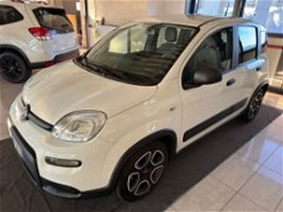 Fiat Panda 1.0 FireFly S&S Hybrid City Cross del 2022 usata a Ferrara