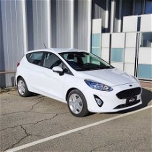 Ford Fiesta 1.1 5 porte Plus del 2018 usata a Gaglianico