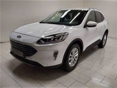 Ford Kuga 1.5 EcoBlue 120 CV 2WD Titanium del 2020 usata a Cuneo