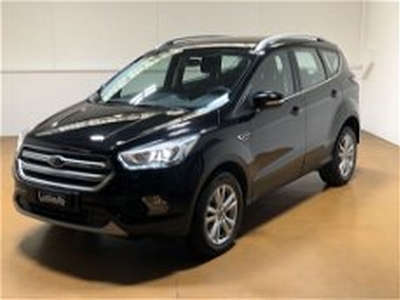 Ford Kuga 2.0 TDCI 120 CV S&S 2WD Powershift Business del 2019 usata a Bergamo