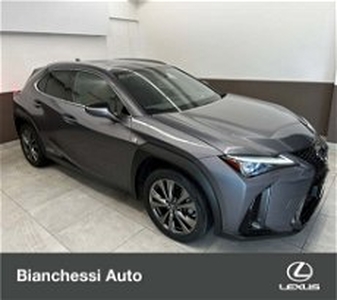 Lexus UX Hybrid F Sport del 2019 usata a Cremona