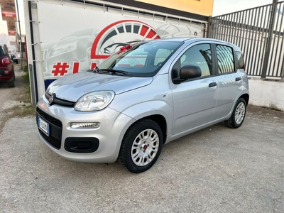 Fiat Panda 1.2 Easy usato