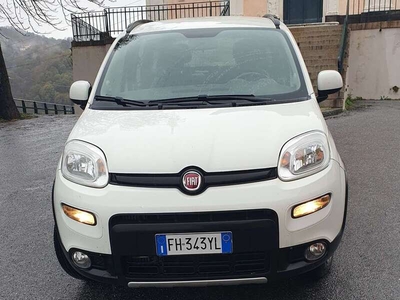 Usato 2017 Fiat Panda 4x4 1.2 Diesel 95 CV (13.499 €)