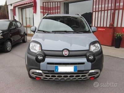 Usato 2021 Fiat Panda 4x4 0.9 Benzin (19.000 €)