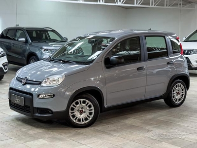 Fiat Panda 1.0 firefly hybrid *NEOPATENTATI* IVA E