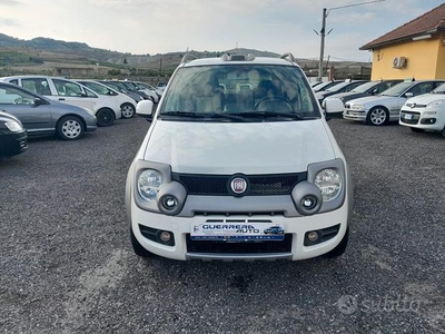 Fiat Panda 1.3 MJT 16V 4x4 Cross TASTO ELD ADATTA