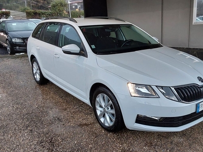 Skoda Octavia 1.6 TDI CR 115 CV Wagon Executive