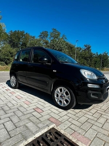 Usato 2014 Fiat Panda 0.9 CNG_Hybrid 85 CV (7.900 €)