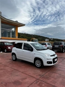 Usato 2016 Fiat Panda 1.2 Diesel 80 CV (10.500 €)