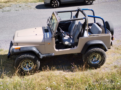 Venduto Jeep Wrangler asi 4000 iniett. - auto usate in vendita