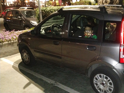 Fiat panda benzina Metano 2012