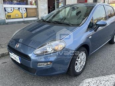 FIAT Punto 1.2 8V 5 porte Street